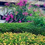 Boho アパート *